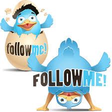 twitter follow me funny birds